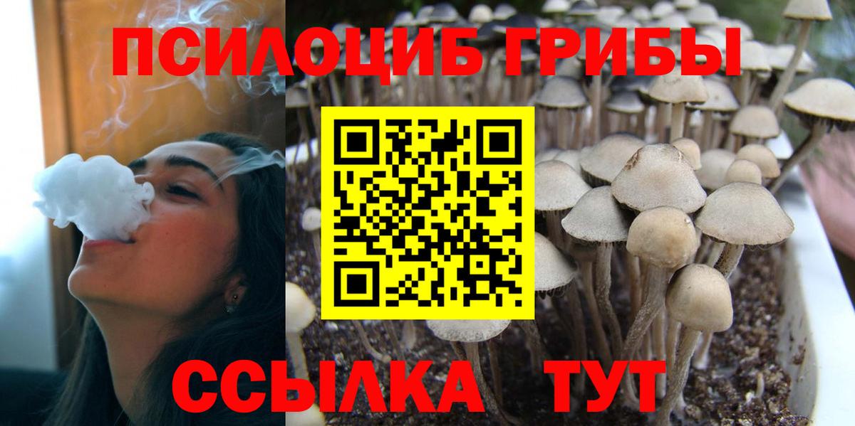 Псилоцибиновые грибы мицелий Нижний Новгород